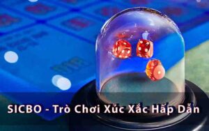 SICBO - Trò Chơi Xúc Xắc Hấp Dẫn và Cách Chơi Hiệu Quả