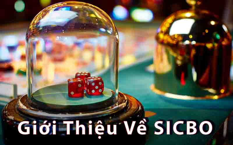 Giới Thiệu Về SICBO